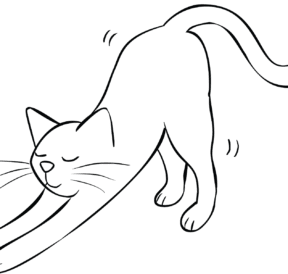 Illustration of cat stretching as part of Breathe and Stretch