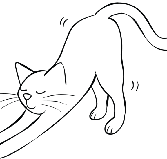 Illustration of cat stretching as part of Breathe and Stretch